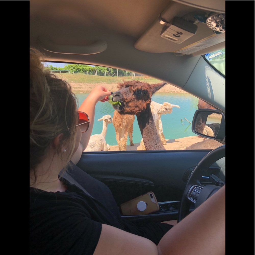 Meet your Posher, Leslie - Picture 12 of 16